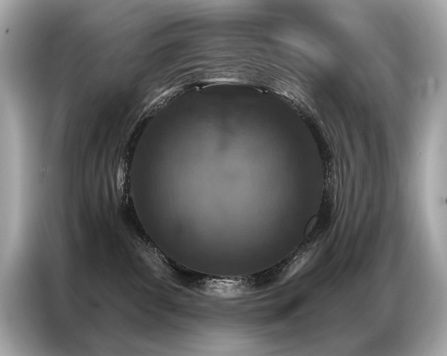 X0000087040139200704181223