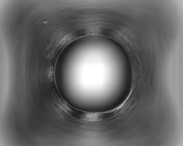 X0000087040144200704181223