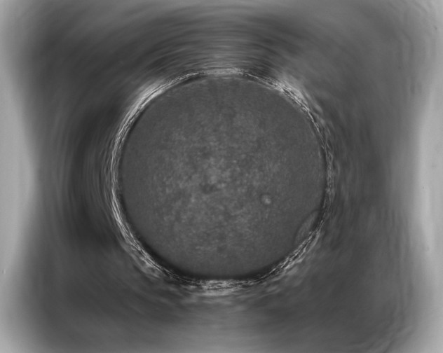 X0000087040145200704181223