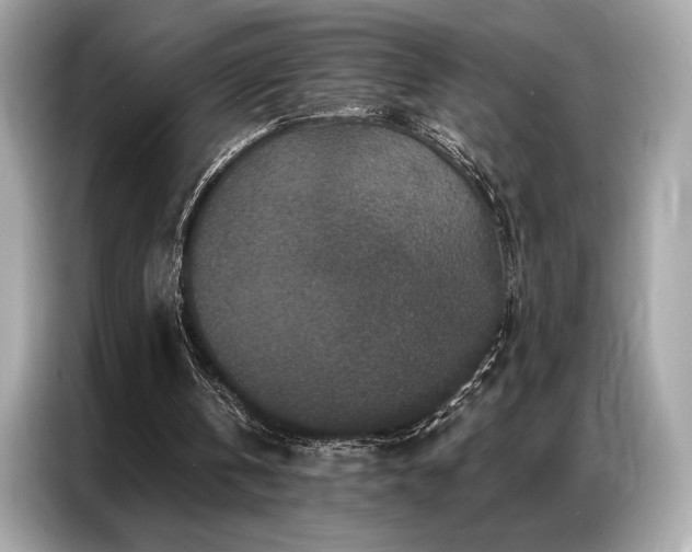 X0000087040146200704181223