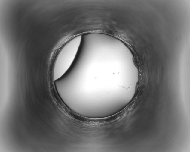 X0000087040149200704181223