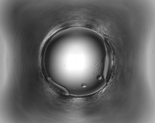 X0000087040150200704181223
