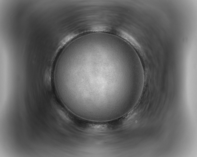 X0000087040155200704181223