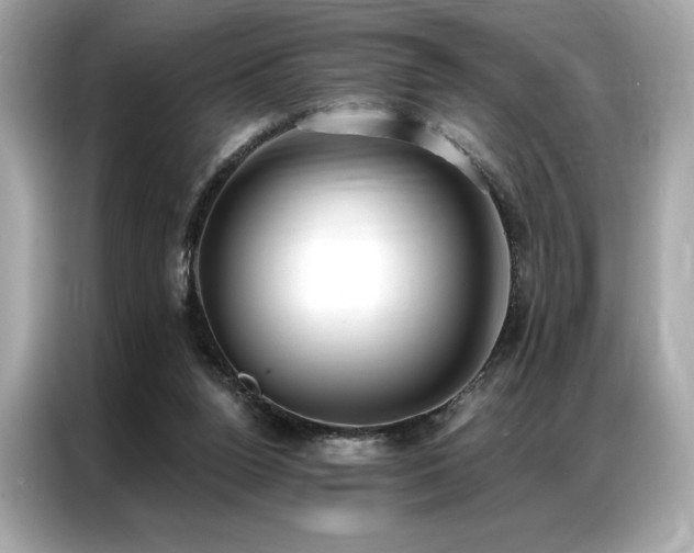 X0000087040160200704181223