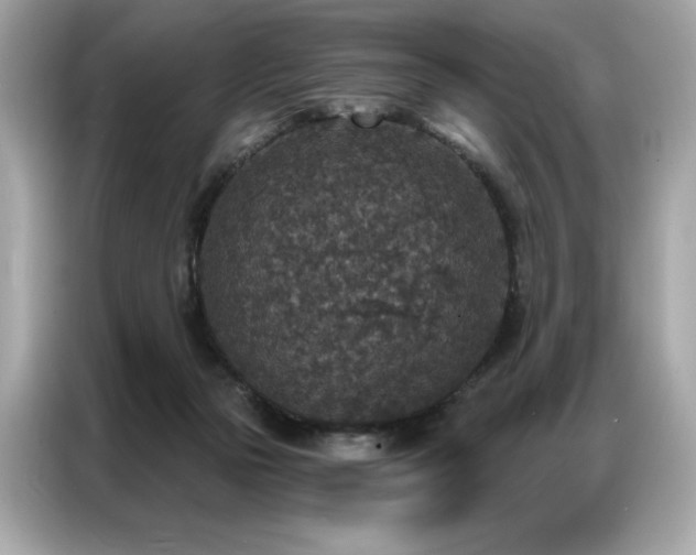 X0000087040169200704181223