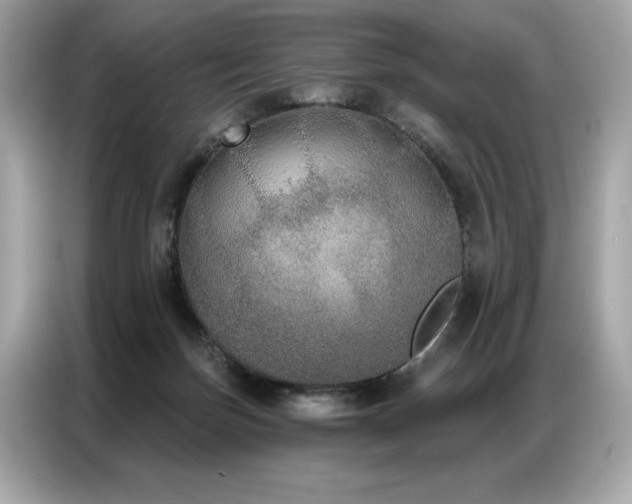 X0000087040171200704181223