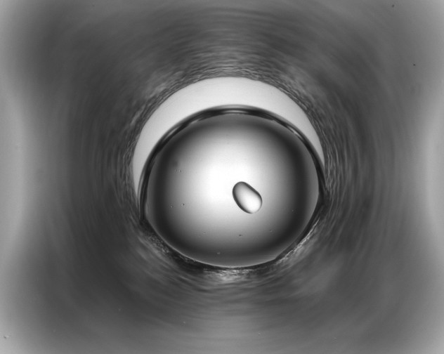 X0000087040184200704181223