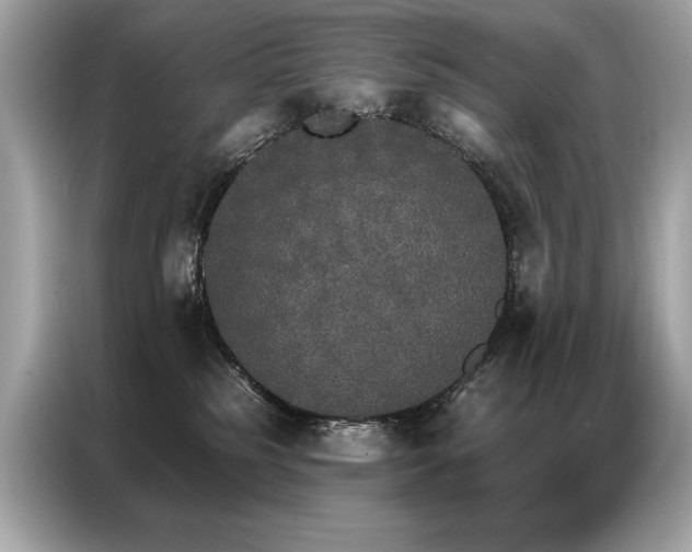 X0000087040185200704181223