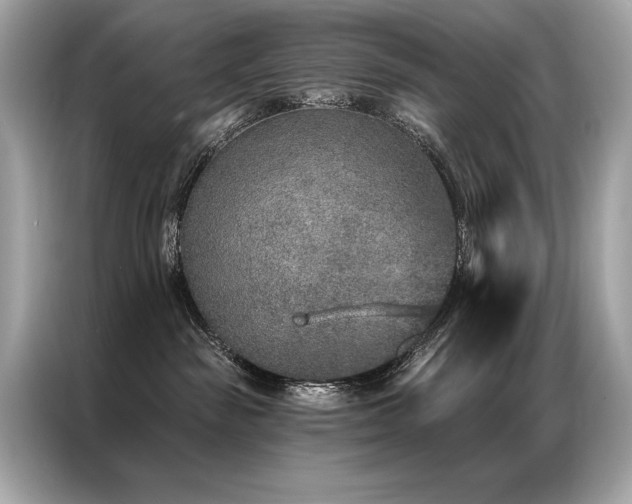 X0000087040189200704181223