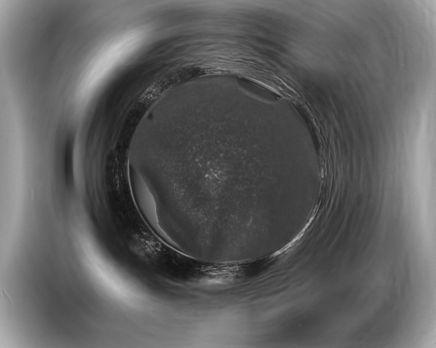 X0000087040191200704181223