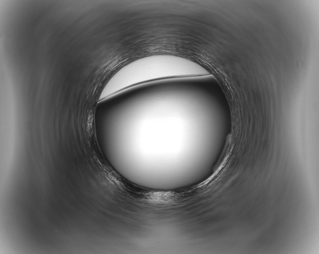 X0000087040192200704181223