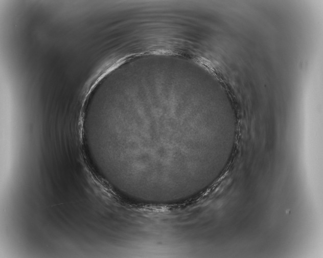 X0000087040194200704181223