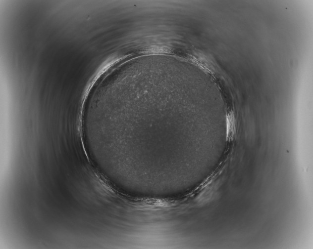 X0000087040195200704181223