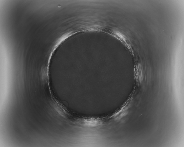 X0000087040196200704181223