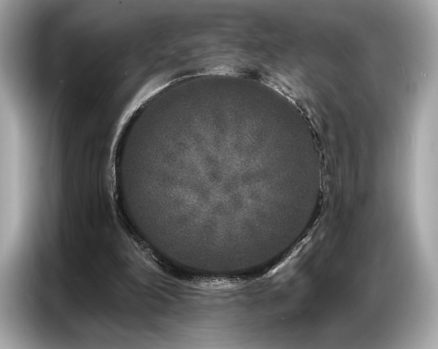 X0000087040198200704181223