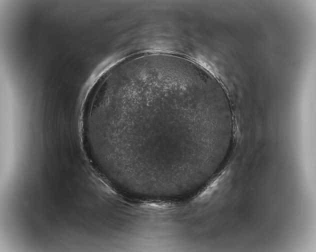 X0000087040199200704181223