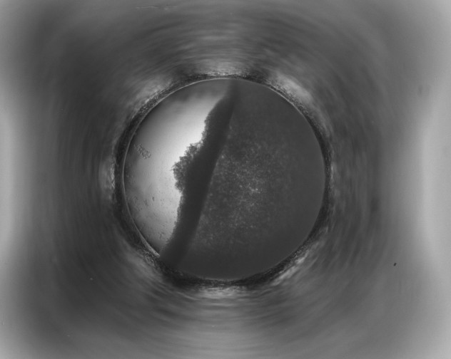 X0000087040202200704181223