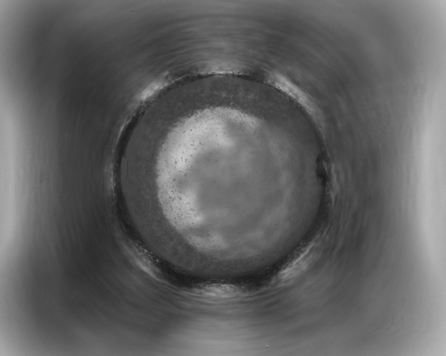 X0000087040203200704181223