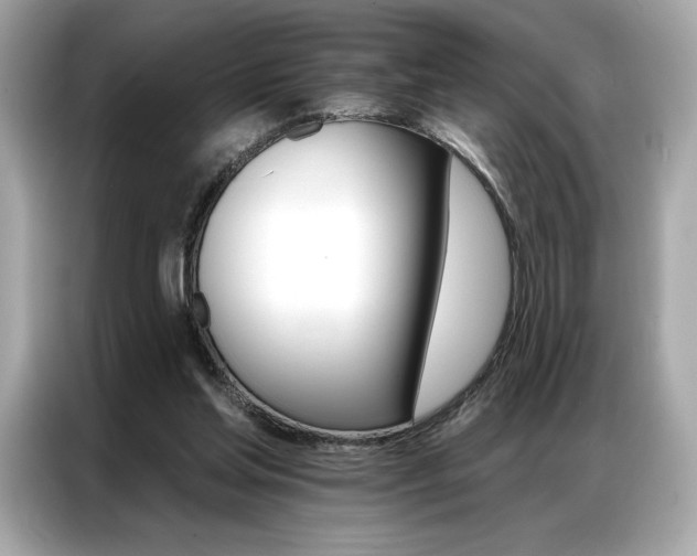 X0000087040205200704181223