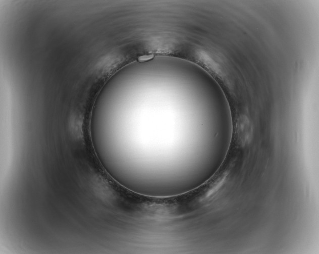 X0000087040209200704181222