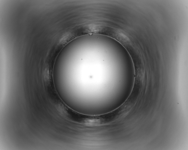 X0000087040220200704181222