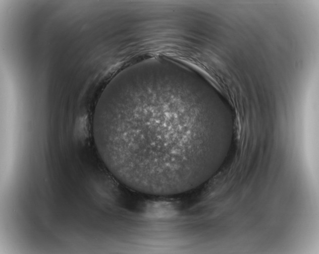 X0000087040224200704181222