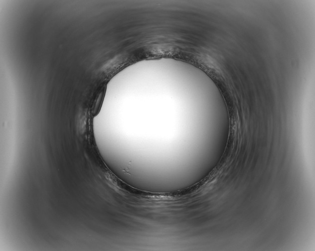 X0000087040233200704181222