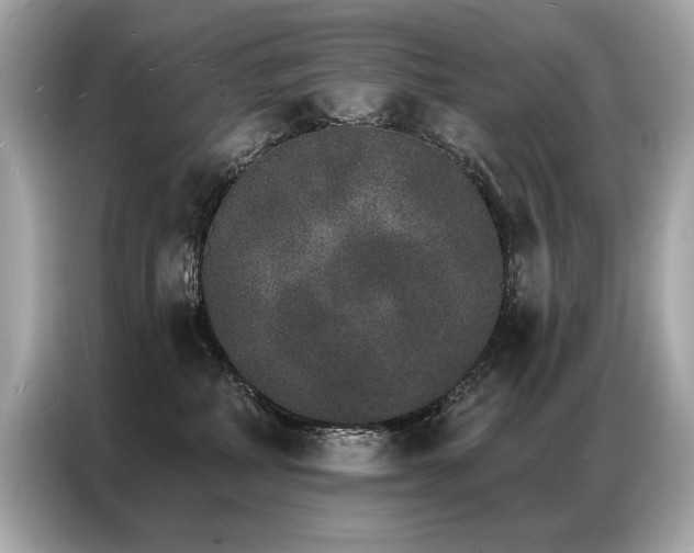 X0000087040234200704181222