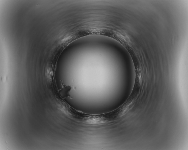 X0000087040235200704181222