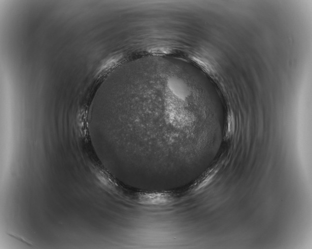 X0000087040237200704181222