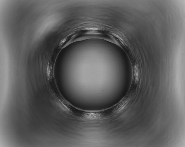 X0000087040239200704181222
