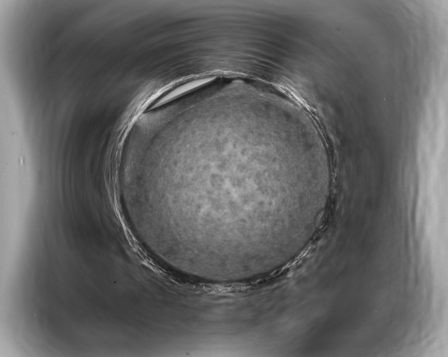 X0000087040241200704181221