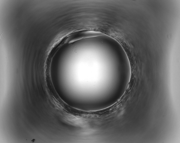 X0000087040242200704181221