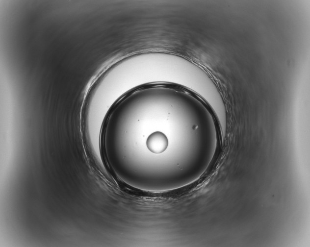 X0000087040244200704181221