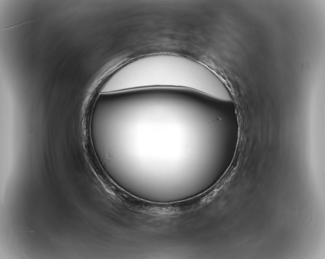 X0000087040245200704181221
