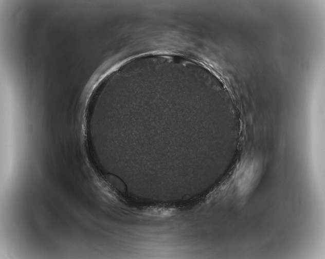 X0000087040247200704181221