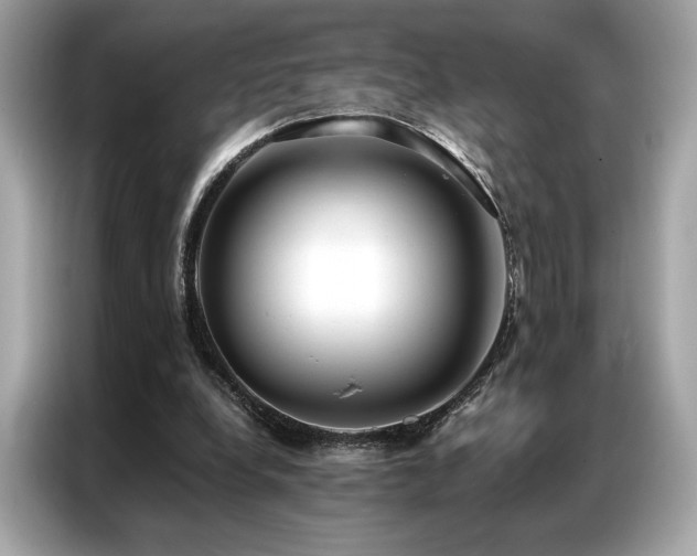 X0000087040248200704181221