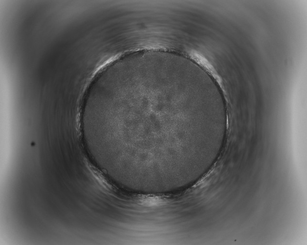 X0000087040249200704181221