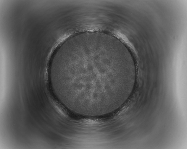 X0000087040250200704181222