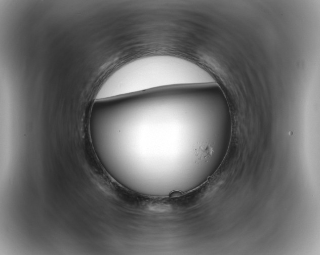 X0000087040258200704181222