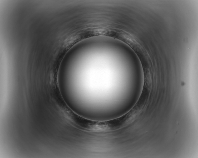 X0000087040270200704181222