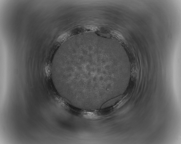 X0000087040285200704181222