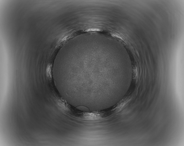 X0000087040286200704181222