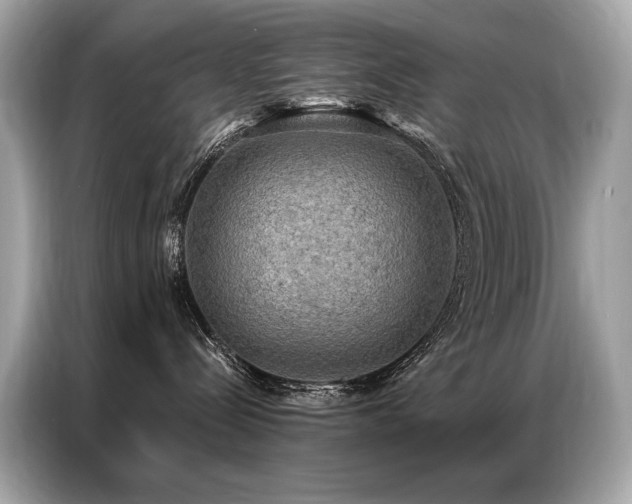 X0000087040288200704181222