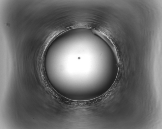 X0000087040289200704181221