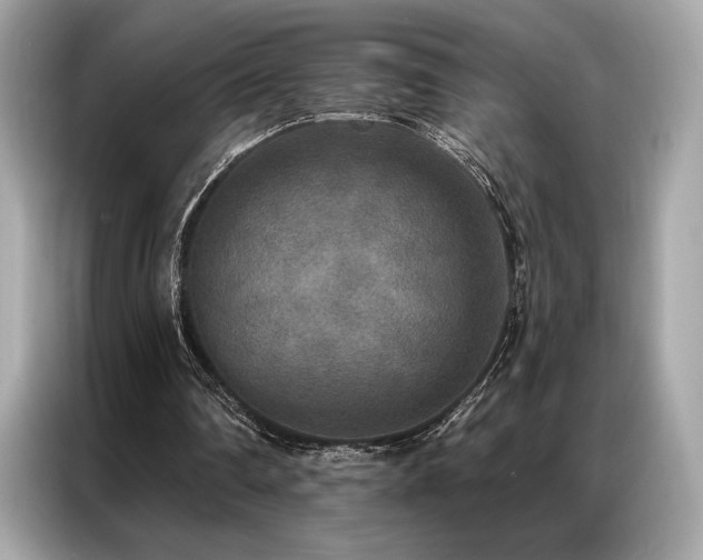 X0000087040290200704181221