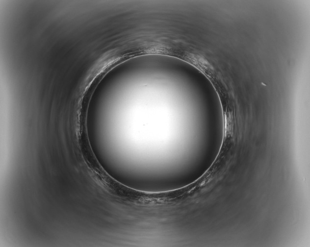 X0000087040291200704181221