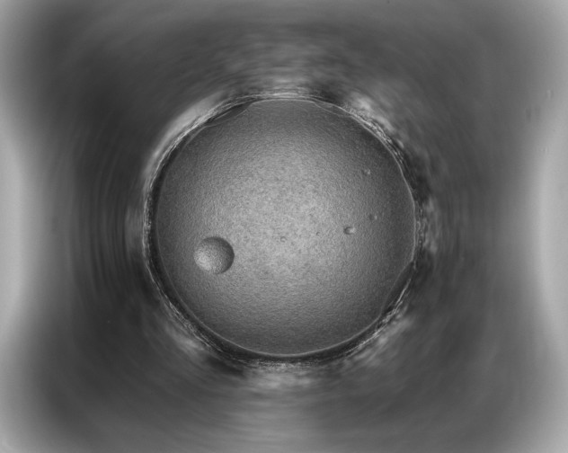 X0000087040293200704181221