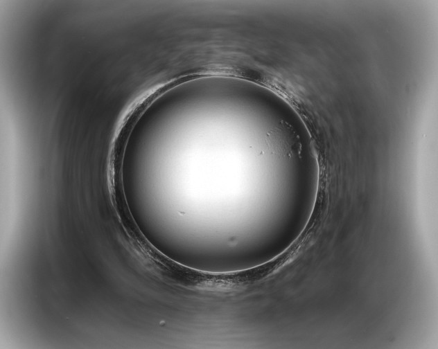 X0000087040294200704181221