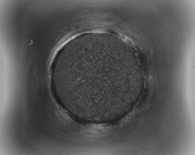 X0000087040295200704181221